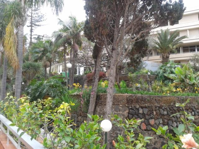 Tranquilo Apartamento Puerto De La Cruz Puerto de la Cruz (Tenerife) Exterior foto