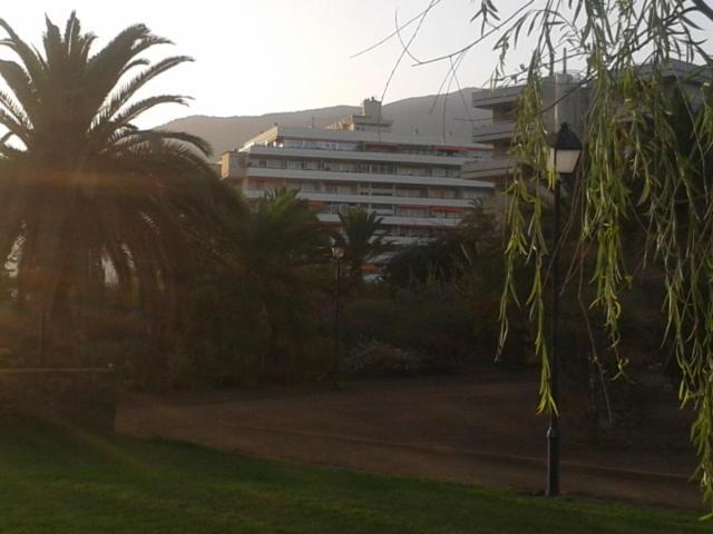 Tranquilo Apartamento Puerto De La Cruz Puerto de la Cruz (Tenerife) Exterior foto